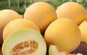 Πεπόνι, φρούτο που δεν παχαίνει, έχει αντιπηκτικές ιδιότητες, πλούσιο σε αντιοξειδωτικά και ιχνοστοιχεία, βοηθά στο αδυνάτισμα
