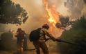 “Καίει” την Πυροσβεστική η υπεύθυνη της Περιφέρειας – Λάθος πληροφόρηση και αδυναμία εκκένωσης - Φωτογραφία 2