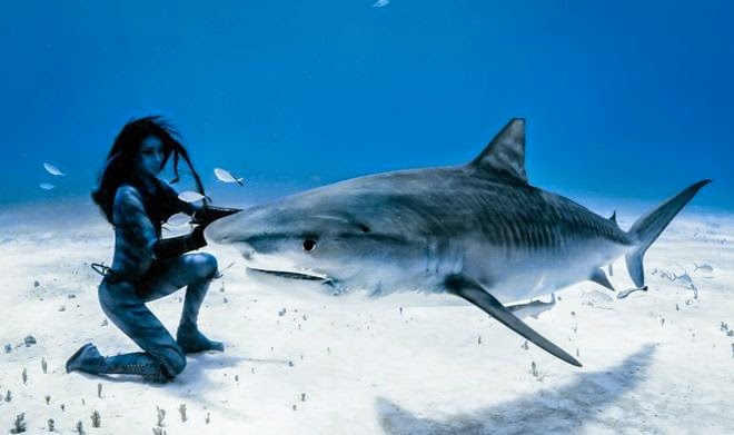 Μοναδικό θέαμα: Ατρόμητη 38χρονη κολυμπά μαζί με τους καρχαρίες [video+photos] - Φωτογραφία 1