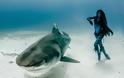 Μοναδικό θέαμα: Ατρόμητη 38χρονη κολυμπά μαζί με τους καρχαρίες [video+photos] - Φωτογραφία 2