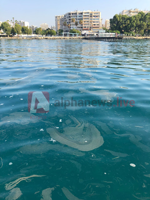 Πινγκ Πονγκ ευθυνών για τα λύματα στις θάλασσες της Λεμεσού - Φωτογραφία 2