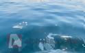 Πινγκ Πονγκ ευθυνών για τα λύματα στις θάλασσες της Λεμεσού - Φωτογραφία 4