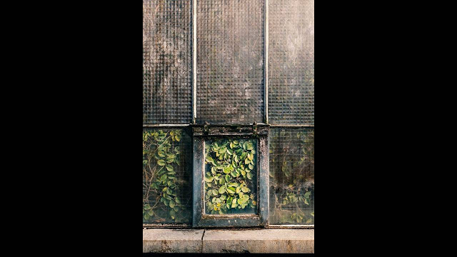 Botanical: Κήποι ελπίδας για την κλιματική αλλαγή σε οκτώ καρέ - Φωτογραφία 5