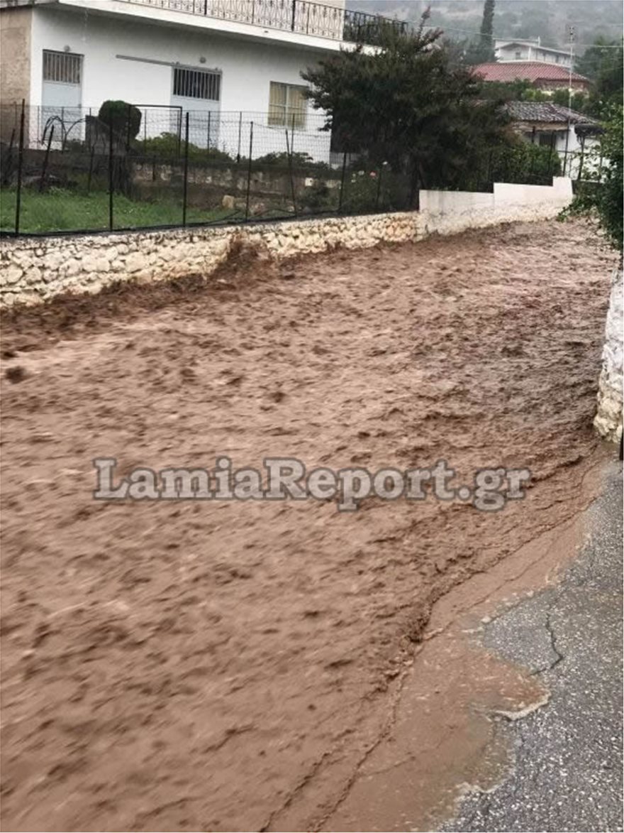 Φθιώτιδα: Καταστροφές από την πρωινή νεροποντή - Φωτογραφία 3