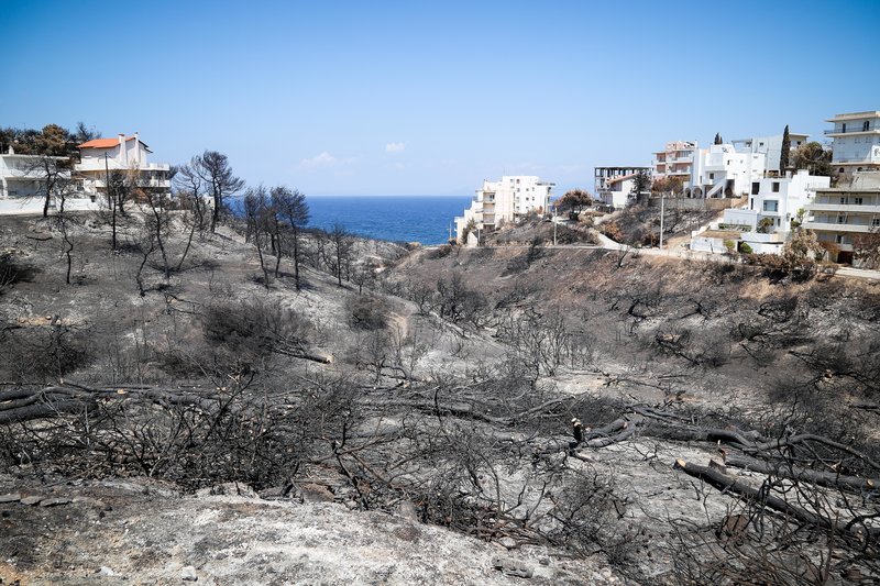 Εθνικό Αστεροσκοπείο: Ολική καταστροφή στο Μάτι -Το 70% κάηκε ολοσχερώς - Φωτογραφία 3