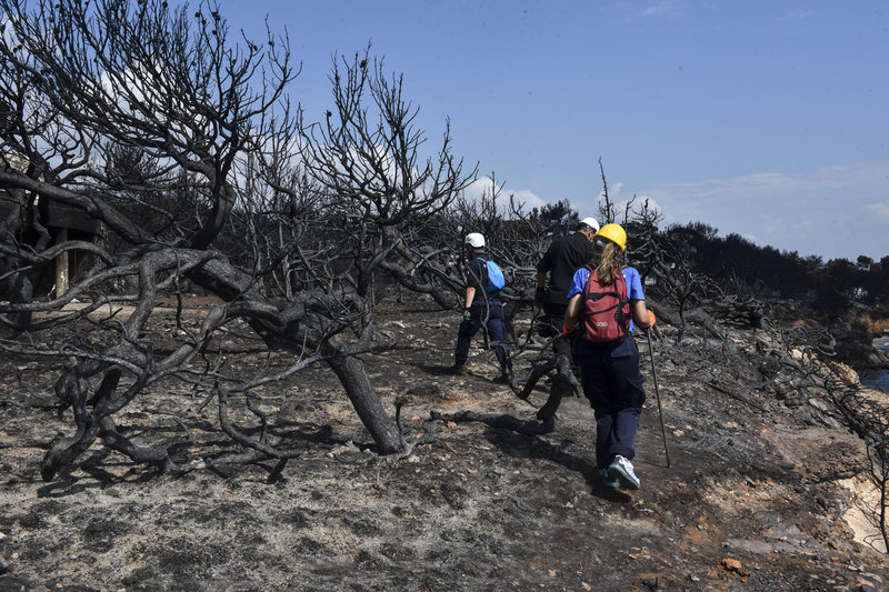 Εθνικό Αστεροσκοπείο: Ολική καταστροφή στο Μάτι -Το 70% κάηκε ολοσχερώς - Φωτογραφία 5