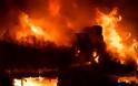 Καθηγητής «Οικολογίας των Πυρκαγιών»: Αυτή είναι η βασική αιτία της φονικής και καταστροφικής πυρκαγιάς στο Μάτι