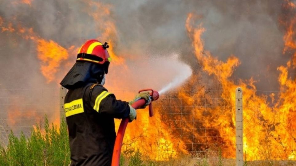 Πολύ υψηλός κίνδυνος πυρκαγιάς σε Αττική και Εύβοια τη Δευτέρα - Φωτογραφία 1