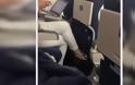 Γυναίκα κατέγραψε επιβάτη που αυνανιζόταν στο αεροπλάνο και δεν φαντάζεστε τι έκανε το πλήρωμα