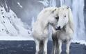 Τα πανέμορφα άγρια άλογα της Ισλανδίας [video]