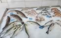 «Tsibise» στο Βασιλικό: Το νέο Ιχθυοπωλείο που καθαρίζει, ψήνει και φέρνει τα ψάρια στο σπίτι σου! (ΦΩΤΟ) - Φωτογραφία 2
