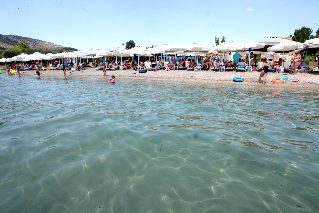 Club MOLOS: Ένα απο τα καλύτερα beach bar στη περιοχή Πογωνιά Παλαίρου [Φωτο: Χρήστος Μπόνης] - Φωτογραφία 4