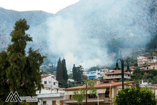 Πυρκαγιά στον ΑΣΤΑΚΟ κοντά σε σπίτια, την πρόλαβαν οι πυροσβέστες | ΦΩΤΟ: Make art - Φωτογραφία 10