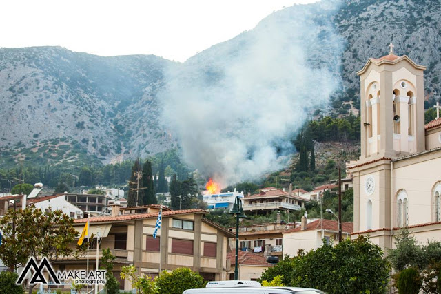 Πυρκαγιά στον ΑΣΤΑΚΟ κοντά σε σπίτια, την πρόλαβαν οι πυροσβέστες | ΦΩΤΟ: Make art - Φωτογραφία 3