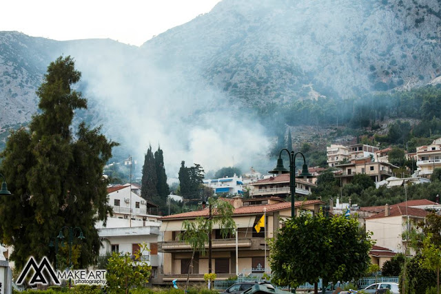 Πυρκαγιά στον ΑΣΤΑΚΟ κοντά σε σπίτια, την πρόλαβαν οι πυροσβέστες | ΦΩΤΟ: Make art - Φωτογραφία 6