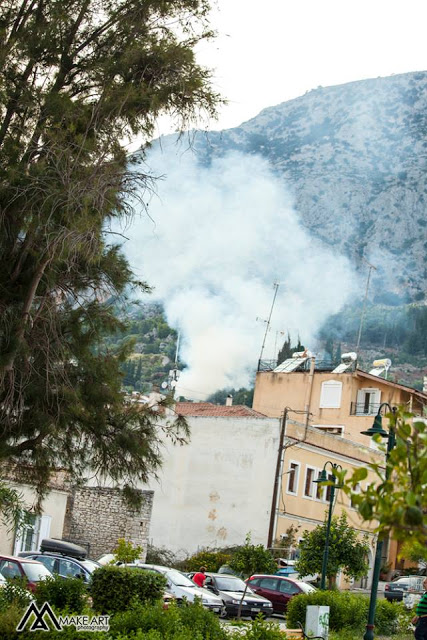 Πυρκαγιά στον ΑΣΤΑΚΟ κοντά σε σπίτια, την πρόλαβαν οι πυροσβέστες | ΦΩΤΟ: Make art - Φωτογραφία 7