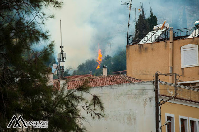 Πυρκαγιά στον ΑΣΤΑΚΟ κοντά σε σπίτια, την πρόλαβαν οι πυροσβέστες | ΦΩΤΟ: Make art - Φωτογραφία 8