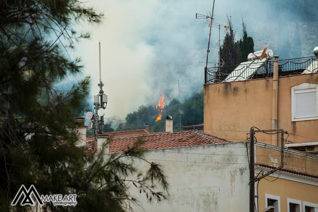 Πυρκαγιά στον ΑΣΤΑΚΟ κοντά σε σπίτια, την πρόλαβαν οι πυροσβέστες | ΦΩΤΟ: Make art - Φωτογραφία 9