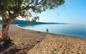 Οι καλύτερες παραλίες της Χαλκιδικής - Φωτογραφία 5