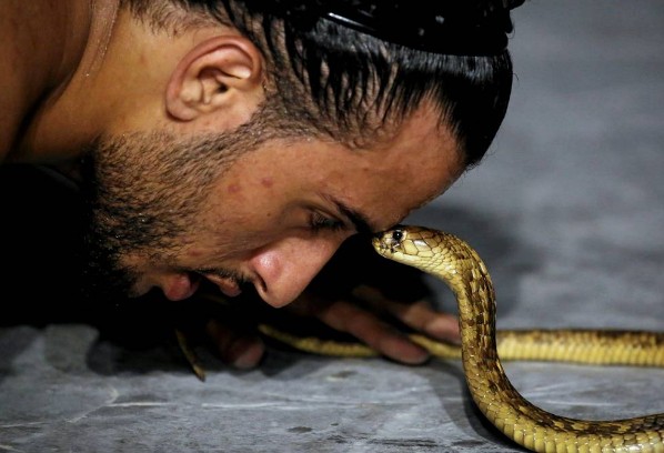 Ο Αιγύπτιος γητευτής που «κοιμίζει» τα φίδια με ένα βλέμμα - Φωτογραφία 1