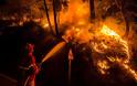 «Βιβλική» καταστροφή προβλέπουν οι ειδικοί: Έρχονται ισχυρότερες και φονικότερες πυρκαγιές - Φωτογραφία 1