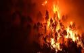 «Βιβλική» καταστροφή προβλέπουν οι ειδικοί: Έρχονται ισχυρότερες και φονικότερες πυρκαγιές - Φωτογραφία 4