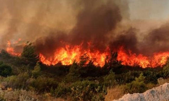 Μεγάλες φωτιές στη Ζάκυνθο: Δύο πύρινα μέτωπα με διαφορά λίγων λεπτών - Φωτογραφία 1