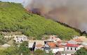 Φωτιές: Καίγεται η Ζάκυνθος - Πυρκαγιές σε Άνδρο και Αχαΐα