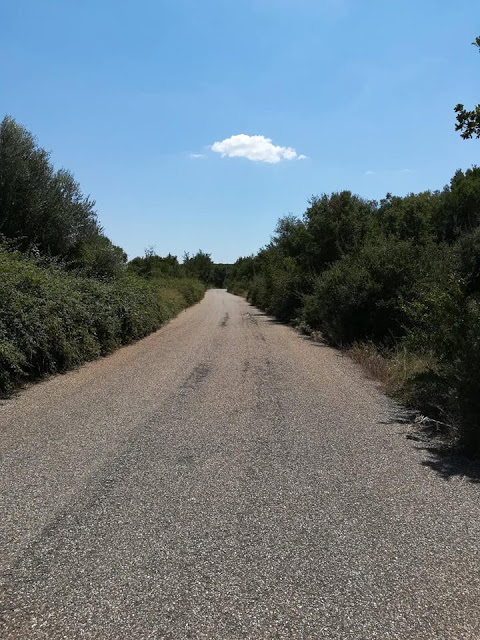 Σε κακή κατάσταση ο δρόμος ΠΑΛΑΙΟΜΑΝΙΝΑ -ΠΕΝΤΑΛΟΦΟΣ | ΦΩΤΟ - Φωτογραφία 12