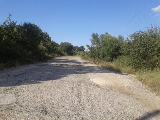 Σε κακή κατάσταση ο δρόμος ΠΑΛΑΙΟΜΑΝΙΝΑ -ΠΕΝΤΑΛΟΦΟΣ | ΦΩΤΟ - Φωτογραφία 17