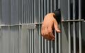 Κύπρος: 28 αποφυλακίσεις ενόψει Δεκαπενταύγουστου