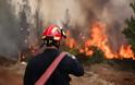 Μεγάλη φωτιά στην Κρήτη – Σηκώθηκαν και τα δύο ελικόπτερα