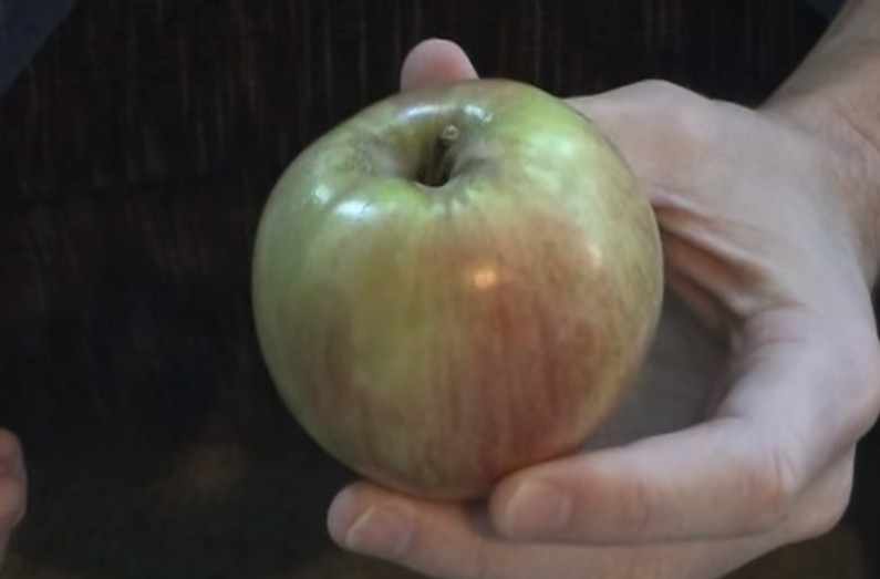 Πως να κόψετε ένα μήλο με τα χέρια σας! [video] - Φωτογραφία 1