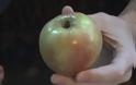 Πως να κόψετε ένα μήλο με τα χέρια σας! [video]