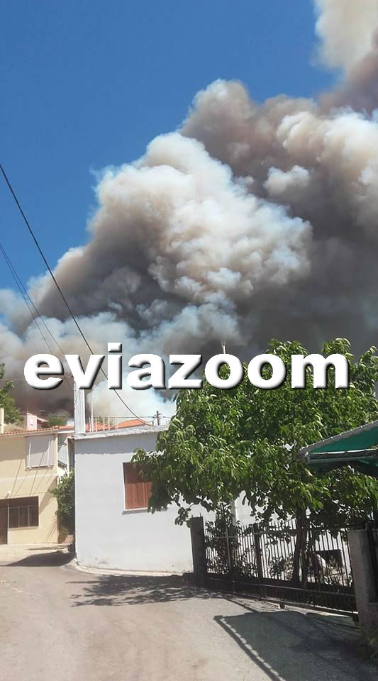 Εύβοια: Μεγάλη φωτιά στο Κοντοδεσπότι - Εκκενώνονται χωριά - Μια «ανάσα» από τα σπίτια οι φλόγες! (ΦΩΤΟ & ΒΙΝΤΕΟ) - Φωτογραφία 4