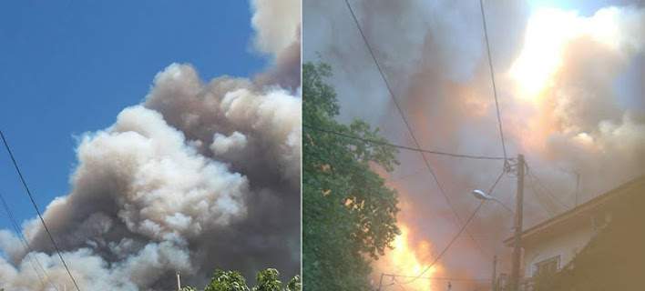 Μεγάλη φωτιά στην Εύβοια -Εκκενώθηκαν δύο χωριά [εικόνες & βίντεο] - Φωτογραφία 1