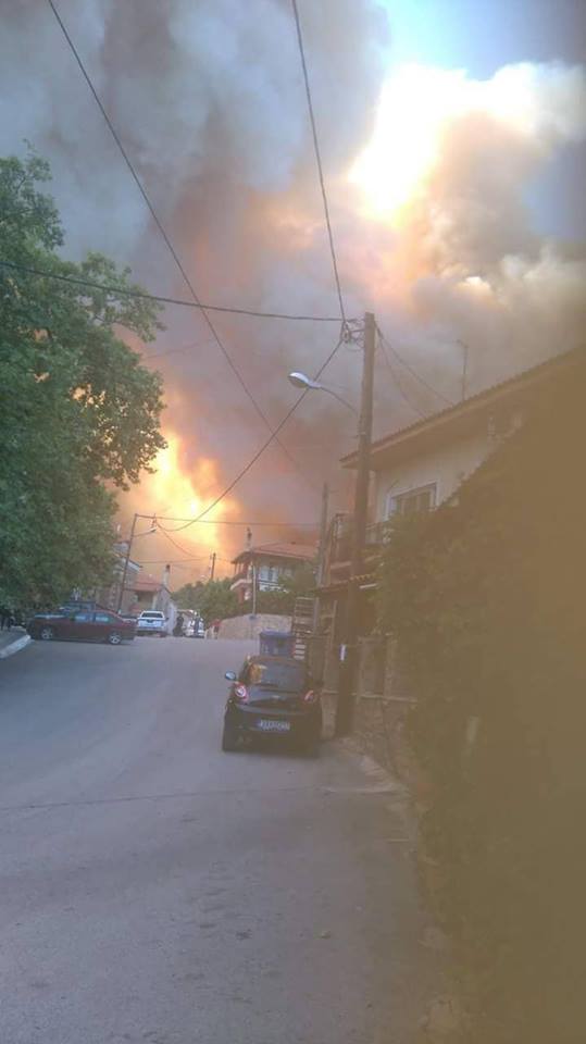 Μεγάλη φωτιά στην Εύβοια -Εκκενώθηκαν δύο χωριά [εικόνες & βίντεο] - Φωτογραφία 5