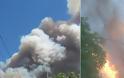 Μεγάλη φωτιά στην Εύβοια -Εκκενώθηκαν δύο χωριά [εικόνες & βίντεο]