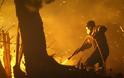 Ολονύχτια μάχη με τις φλόγες και τον άνεμο στην Εύβοια - Εκκενώθηκαν χωριά