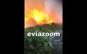 Ολονύχτια μάχη με τις φλόγες και τον άνεμο στην Εύβοια - Εκκενώθηκαν χωριά - Φωτογραφία 2