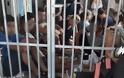 Εικόνες ντροπής στο αστυνομικό τμήμα Σαντορίνης - Άνθρωποι στοιβαγμένοι ο ένας πάνω στον άλλο