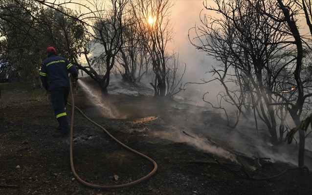 Πυρκαγιά στο Κοντοδεσπότι: Δορυφορική καταγραφή των ζημιών της πυρκαγιάς από την υπηρεσία «Κοπέρνικος»! - Φωτογραφία 1