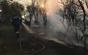 Πυρκαγιά στο Κοντοδεσπότι: Δορυφορική καταγραφή των ζημιών της πυρκαγιάς από την υπηρεσία «Κοπέρνικος»!