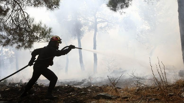 Μυτιλήνη: Κινδύνεψε από πυρκαγιά το περιαστικό άλσος Τσαμάκια - Φωτογραφία 1