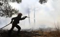 Μυτιλήνη: Κινδύνεψε από πυρκαγιά το περιαστικό άλσος Τσαμάκια