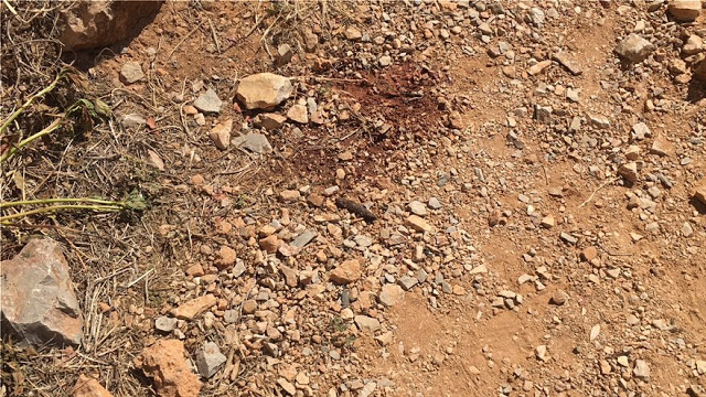 Φρικτή δολοφονία από συμμορία αλλοδαπών του Φιλοπάππου - Μαχαίρωσαν 25χρονο και τον πέταξαν στα βράχια - Φωτογραφία 3