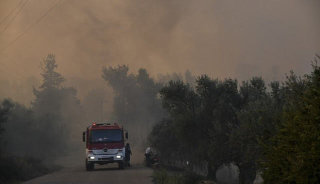 ΕΑΚΠ: Συνθήκες εργασίας και ελλιπής διοικητική μέριμνα για τους πυροσβέστες κατά τη φωτιά στην Εύβοια - Φωτογραφία 1