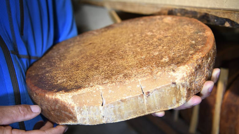 Το αρχαιότερο τυρί του κόσμου είναι 3.200 ετών και κρύβει ένα… θανάσιμο μυστικό - Φωτογραφία 1