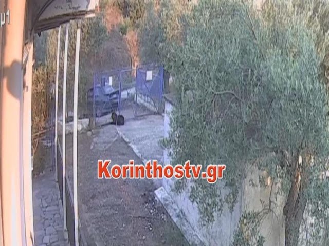 Αρχαία Κόρινθος: Καρέ καρέ η κλοπή σε εξοχική κατοικία - Φωτογραφία 1