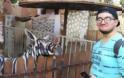 Ζωολογικός κήπος στην Αίγυπτο έβαψε ασπρόμαυρο ένα γαϊδούρι για να μοιάζει με ζέβρα - Φωτογραφία 2